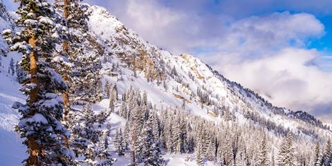 Sunny bluebird day in Honeycomb Canyon with a view of Fantasy Ridge